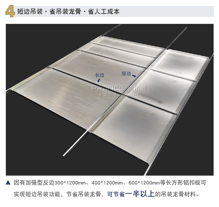 柏爾思天平系列600板